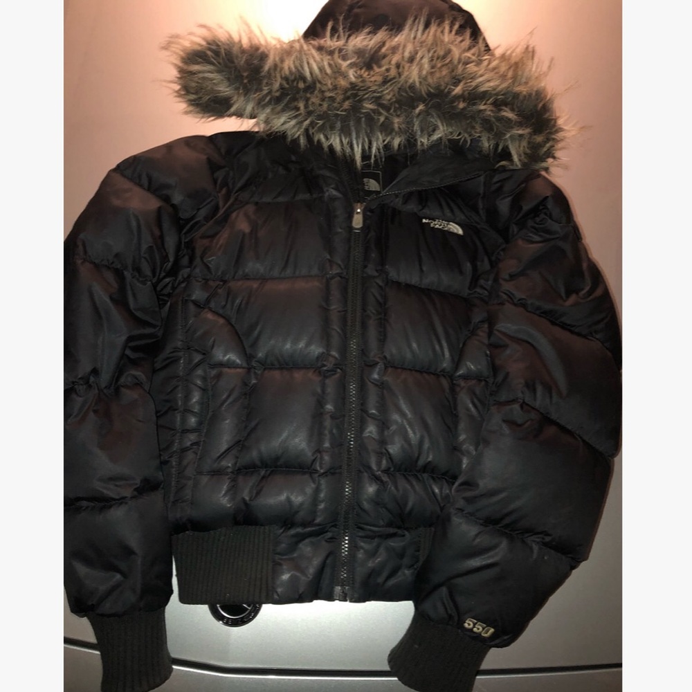 The Northface Bubble Jacket